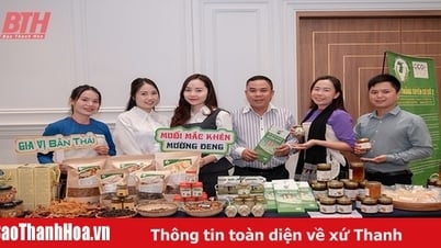 Lang Chánh ứng dụng chuyển đổi số đẩy mạnh tiêu thụ sản phẩm OCOP