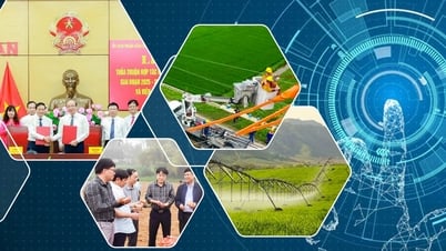 Đưa khoa học công nghệ và đổi mới sáng tạo trở thành động lực chính cho phát triển