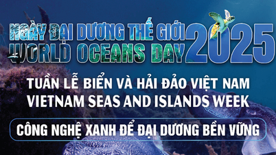 KHCN,ĐMST&CĐS: Chìa khóa phát triển đại dương bền vững