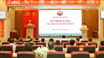 គណៈកម្មាធិការបក្សស្រុក Do Son បានប្រគល់ផ្លាកសញ្ញាបក្សនៅថ្ងៃទី 19 ឧសភា ឆ្នាំ 2025 ដល់សមាជិកបក្សចំនួន 17 នាក់