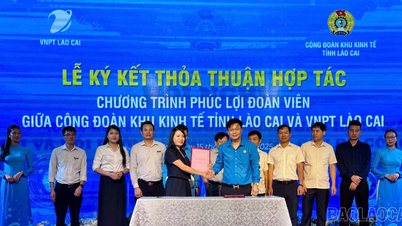 Tập huấn và ký kết thỏa thuận hợp tác chương trình phúc lợi đoàn viên