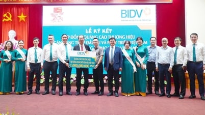 BIDV tài trợ 1 tỉ đồng đồng hành cùng Vòng chung kết Hoa hậu Việt Nam 2024 và Festival Huế 2025