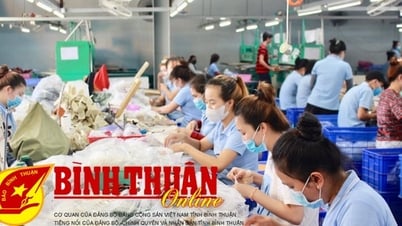 ร่าง พ.ร.บ.จ้างงาน (แก้ไข) : ขยายนโยบายช่วยเหลือ ปลดล็อกตลาดแรงงาน