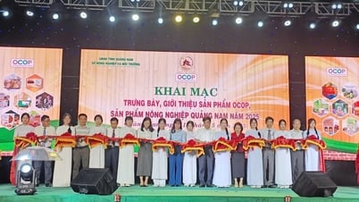 Quảng Nam triển lãm trưng bày sản phẩm OCOP và nông nghiệp năm 2025