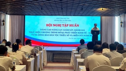 Nâng cao năng lực giám sát Chương trình 1719 cho 150 đại biểu
