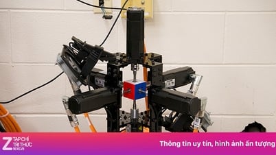 이 기계는 눈 깜짝할 새에 루빅큐브를 풀어냅니다.
