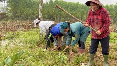 បំប្លែង​ដំណាំ និង​បសុសត្វ​ទៅ​ជា​កសិដ្ឋាន​គ្រួសារ និង​កសិដ្ឋាន
