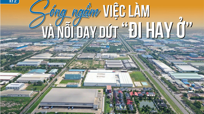 Loạt Megastory: ‘Khát’ lao động giữa thủ phủ công nghiệp Đồng Nai Bài 3: 'Sóng ngầm' việc làm và nỗi day dứt 'đi hay ở'