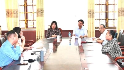 Ninh Giang kiên quyết không để phát sinh vi phạm đất đai, thủy lợi