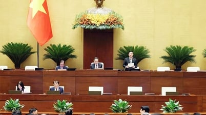 العديد من النقاط الجديدة لوكالة التفتيش بعد الترتيب
