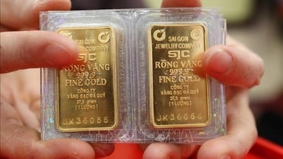 Nachmittag des 15. Mai: Der Preis für SJC-Goldbarren sank um 1,8 Millionen VND/Tael