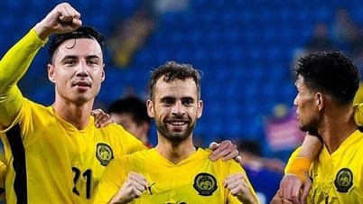 La Malaisie convoque une équipe « énorme » pour affronter le Vietnam, de nombreux joueurs sont naturalisés