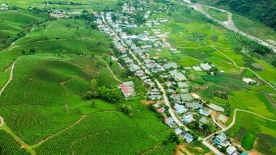 Le 2e festival du thé du district de Tan Uyen en 2025 se déroulera sur 2 jours (du 24 au 25 mai)