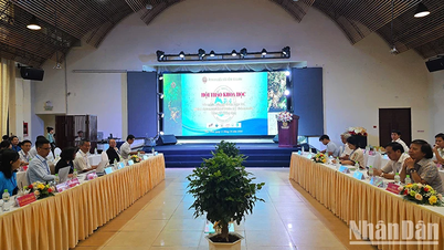 ការពង្រឹងជំហររបស់យិនស៊ិន Ngoc Linh ជាមួយនឹងសមិទ្ធិផលឱសថសាស្ត្រ និងវិទ្យាសាស្ត្រអនុវត្ត
