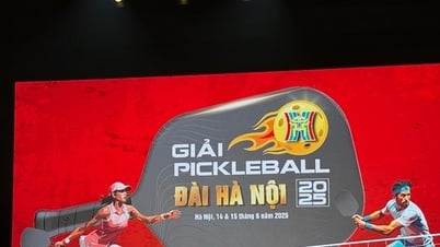 ハノイラジオテレビピックルボールトーナメント2025に600人以上の選手が参加