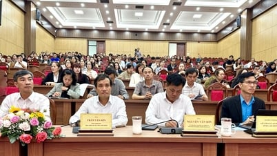 Da Lat: Consulting and dialogue on insurance policies with 250 businesses