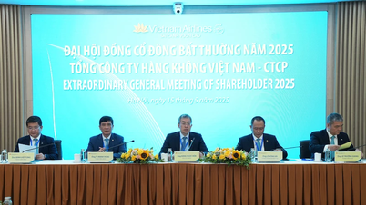 Vietnam Airlines gibt Aktien aus, um das Charterkapital um 9.000 Milliarden VND zu erhöhen