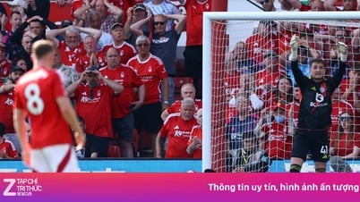 Estrella del bosque escapa de estado crítico
