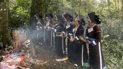 Le rituel du culte de la forêt du peuple Pa Di à Lao Cai est un patrimoine national.