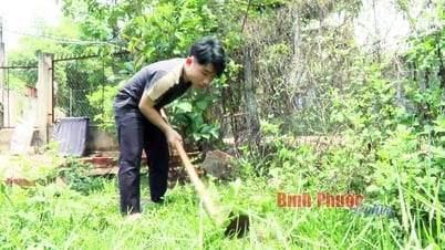 Mồ côi cha mẹ và nguy cơ dở dang việc học