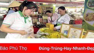 Hợp tác xã nông nghiệp nắm bắt cơ hội phát triển