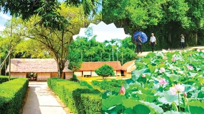 KỶ NIỆM 135 NĂM NGÀY SINH CHỦ TỊCH HỒ CHÍ MINH (19/5/1890 – 19/5/2025): Về thăm quê Bác làng Sen