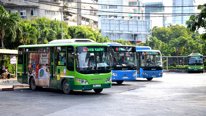 Vì sao 3 anh em Tập đoàn Tân Thành Đô muốn chia tay Saigon Bus?
