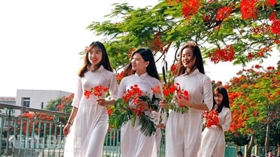 학생들의 눈물 꽃