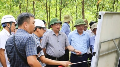 Bình Định: Khảo sát Vũng Chua làm sân golf, khu đô thị nghỉ dưỡng
