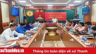 Promoting the role of youth union members in startups