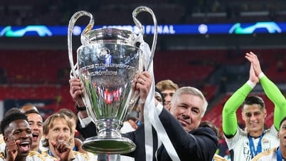 Ancelotti dẫn tuyển Brazil: Lương kỷ lục và những đặc quyền