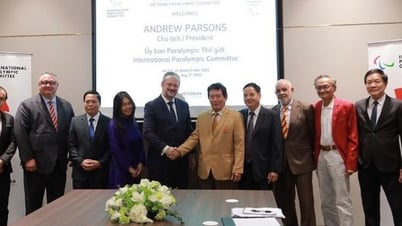Chủ tịch Ủy ban Paralympic Quốc tế làm việc với Ủy ban Paralympic Việt Nam