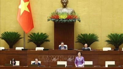 Ngày 15/5, Quốc hội họp toàn thể tại hội trường, thảo luận một số dự án luật