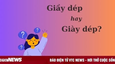 Thử thách Tiếng Việt: 'Giầy dép' hay 'giày dép'?