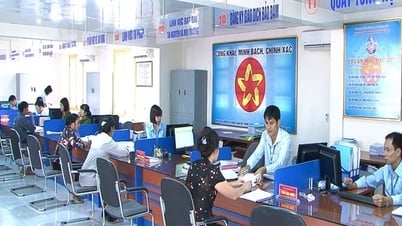 Chức năng, nhiệm vụ Tổ Công tác triển khai Đề án 06; cải cách TTHC, chuyển đổi số gắn với Đề án 06