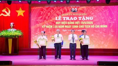 Ngo Quyen District Party Committee awarded Party Badges on May 19 and disseminated the Congress's directive documents.