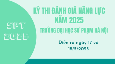 [Infographic] Kỳ thi Đánh giá năng lực SPT năm 2025