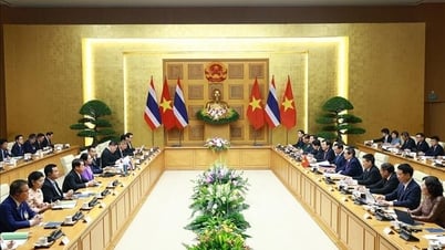Thủ tướng Chính phủ Phạm Minh Chính và Thủ tướng Thái Lan đồng chủ trì Họp Nội các chung Việt Nam - Thái Lan lần thứ 4