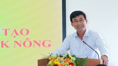 ラムドン省、ビントゥアン省、ダクノン省の3省の教育訓練局の指導者らが会合を開き、合併に向けた準備について話し合った。