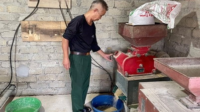 Hội Cựu chiến binh huyện Sông Lô đẩy mạnh phong trào giúp hội viên phát triển kinh tế