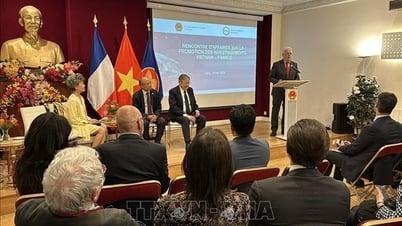 Doanh nghiệp Pháp sẵn sàng đón nhận cơ hội đầu tư mới tại Việt Nam