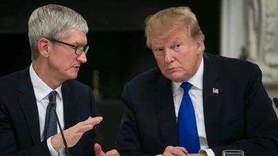 Tổng thống Trump không hài lòng với CEO Apple Tim Cook