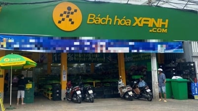 CEO Bách Hóa Xanh muốn bán bớt cổ phiếu