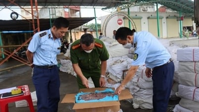 Launching a peak period to prevent and repel smuggling and trade fraud from May 15 to June 15, 2025 - Lang Son Newspaper and Radio and Television Station