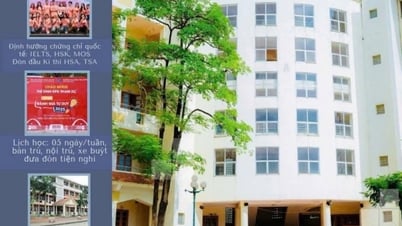 Trường TH, THCS&THPT Thực hành Sư phạm xét tuyển học bạ vào lớp 10 trên phạm vi toàn tỉnh