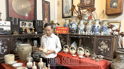 Antique collector
