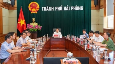 ត្រូវការកែលម្អស្ថាប័ន បំបាត់ឧបសគ្គ ដើម្បីអភិវឌ្ឍទីផ្សារអចលនទ្រព្យប្រកបដោយនិរន្តរភាព