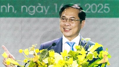 Mỏ Đại Hùng: Từ dự án chuyển giao 1 USD đến khả năng làm chủ biển sâu của người Việt