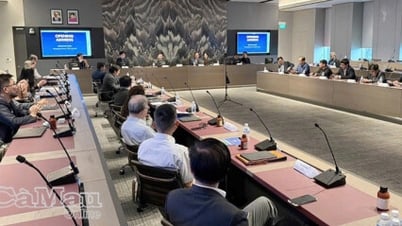 カマウがシンガポールで投資促進会議を開催
