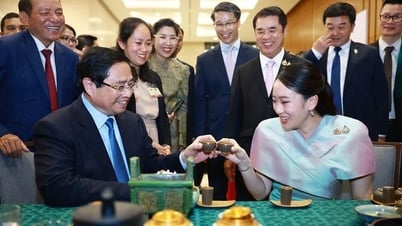 베트남과 태국 총리가 함께 차를 즐겼다